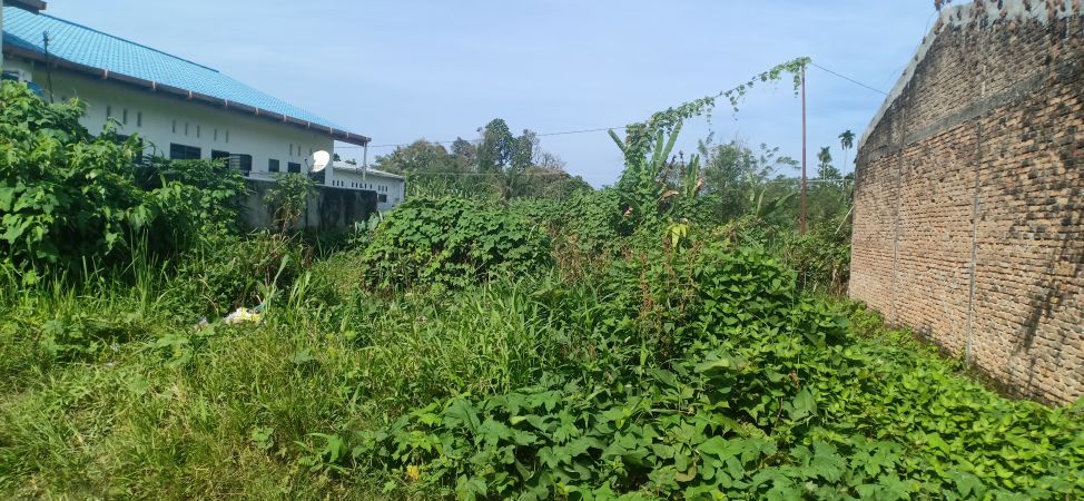 Jual Tanah  Murah  di  Simpang Melati Medan 