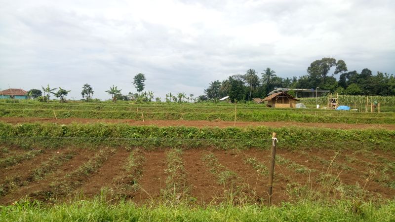 Kapling Tanah SHM Hook Bogor Akses Mudah Tepi Jalan View Gunung Salak