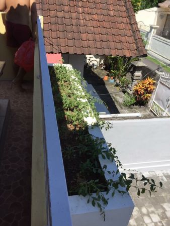 24+ Rumah Disewakan Di Denpasar Selatan Gif
