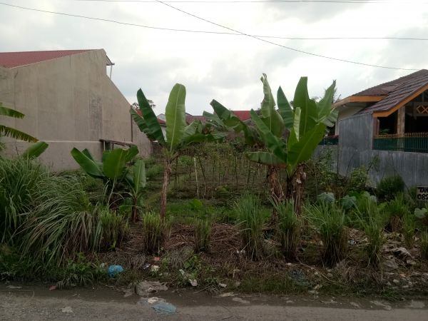  Tanah  murah  di  pasar 7 padang bulan