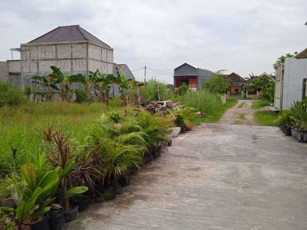 Jual Tanah Lamongan