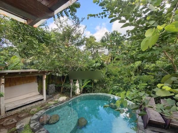 Jual Villa Konsep Jungle Dan View Sungai