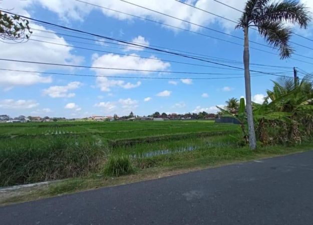 Tanah Pantai Seseh Munggu Badung Bali