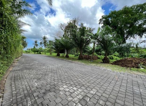 Tanah Los Sungai Di GrenLot Cemagi Munggu Badung