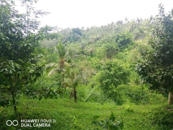 TANAH LOS SUNGAI ayung UBUD bali bukian payangan dkt padma hotel