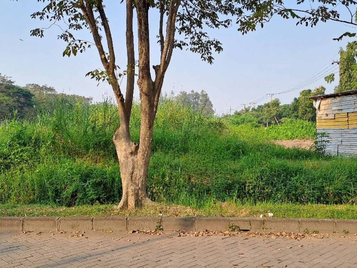 Disewa kavling tanah jalan kembar dalam Pondok Tjandra