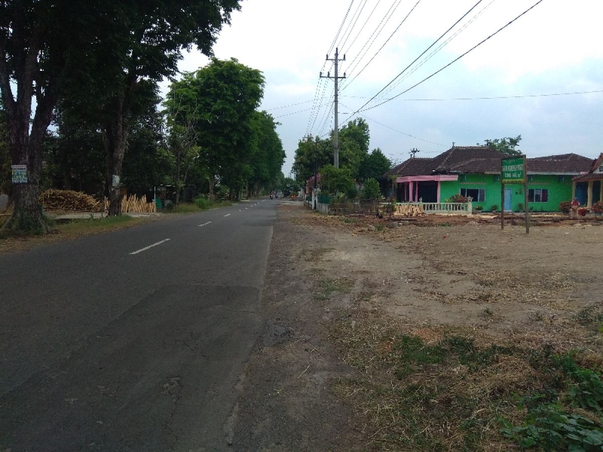 Tanah SHM 750m Pinggir Jalan Raya Bis Truk Bulakrejo