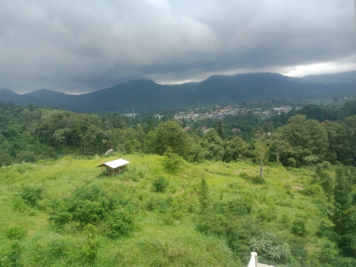 Dijual Tanah 2ha Di Puncak, Cisarua, Bogor