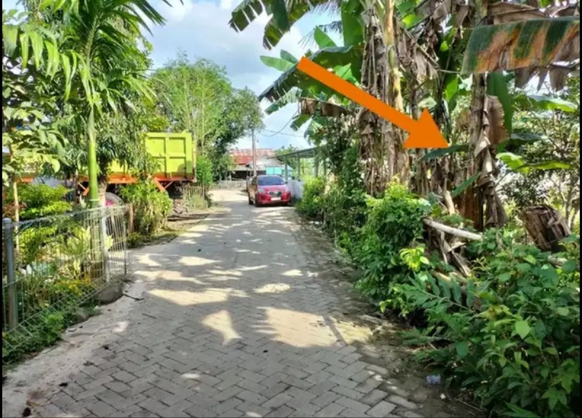 Kebun Rambutan 2.000 m2 siap pakai dekat Unhas Fak Teknik Gowa