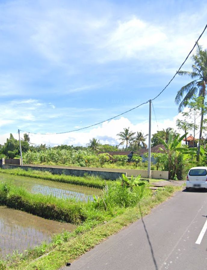 Tanah datar 1 kilo meter dari Pantai Saba Bali