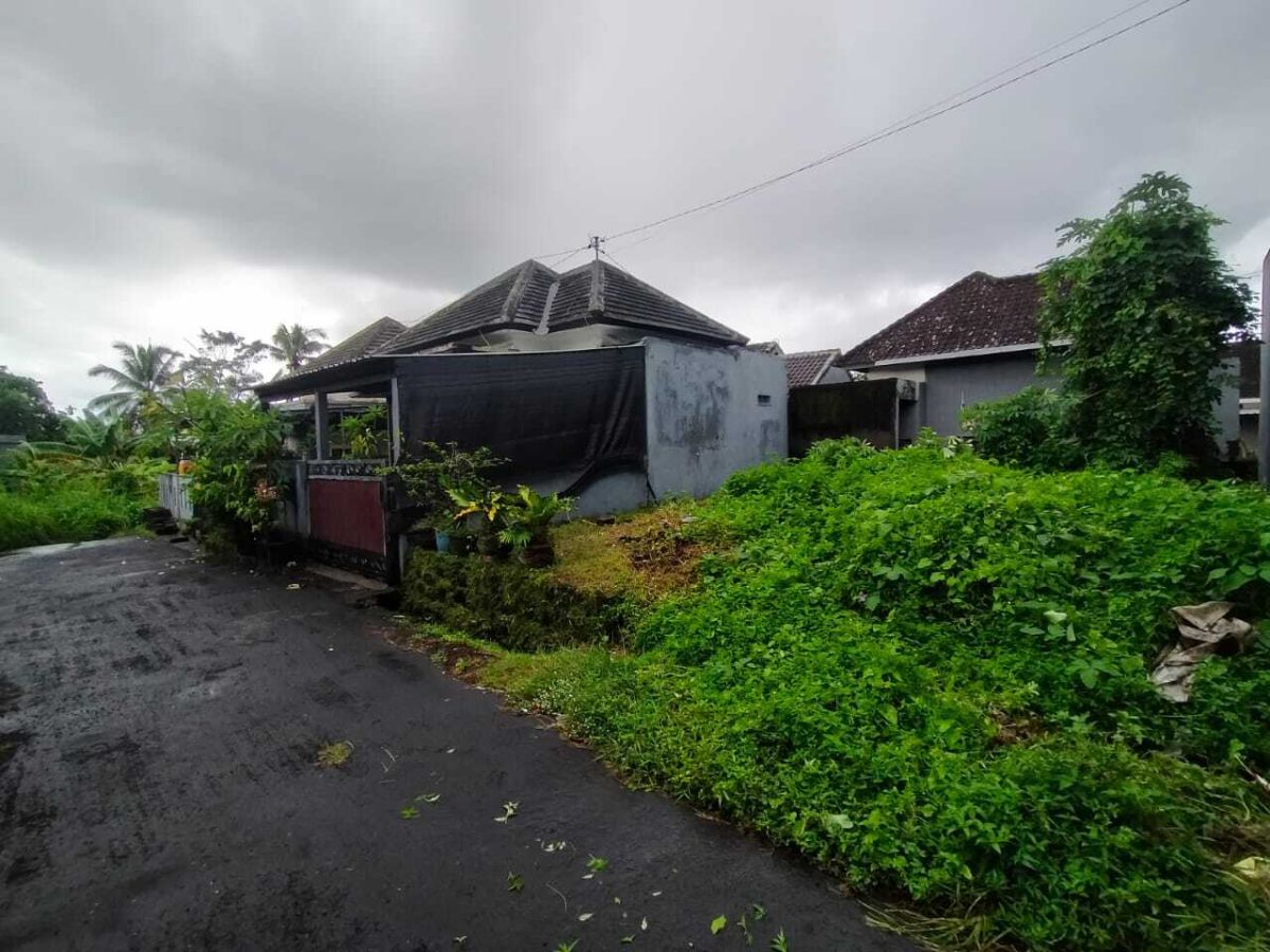 Tanah djual Murah di Tabanan Bali