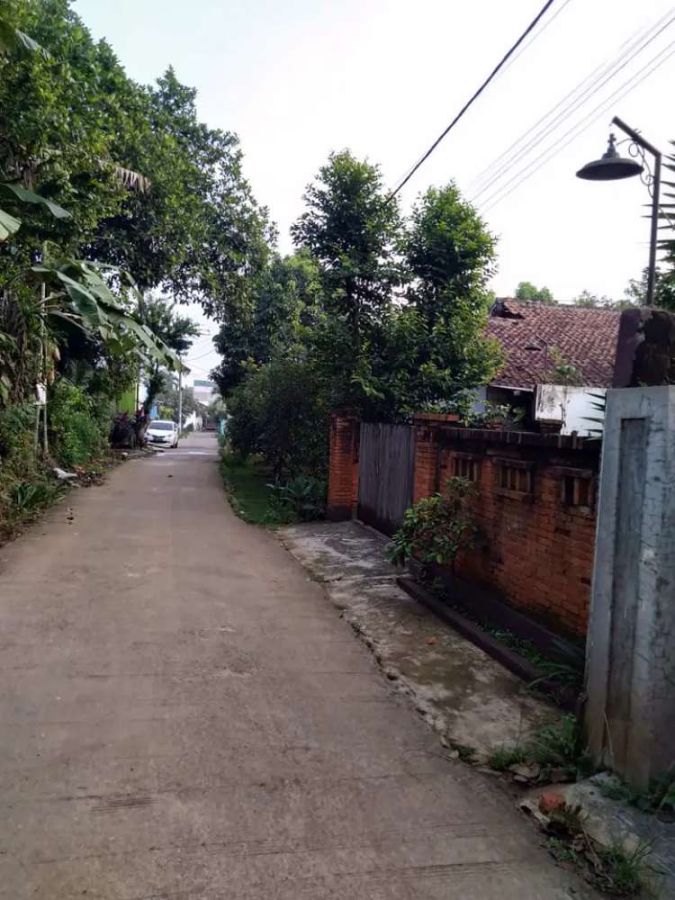 *Rumah dijual di Bogor , rumah Joglo Jawa Citayam*