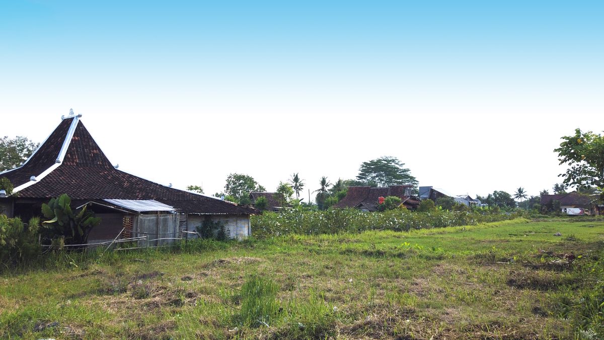 Tanah Kavling Jl. Damai , Samping Utara Homestay Sawah Joglo