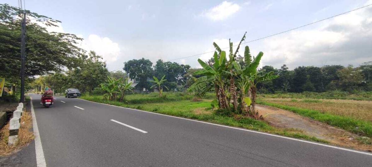 Tanah Murah View Sawah dan Merapi Mangku Jalan Raya Kaliurang