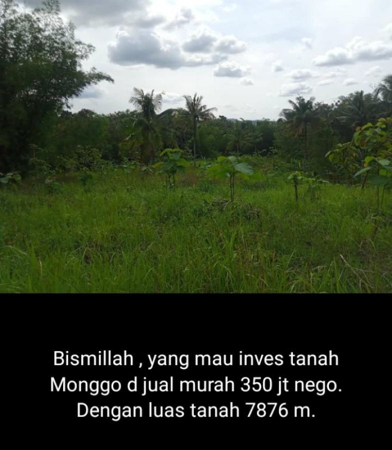 Tanah Murah Luas Beringin Kab Semarang dekat Jln Aspal