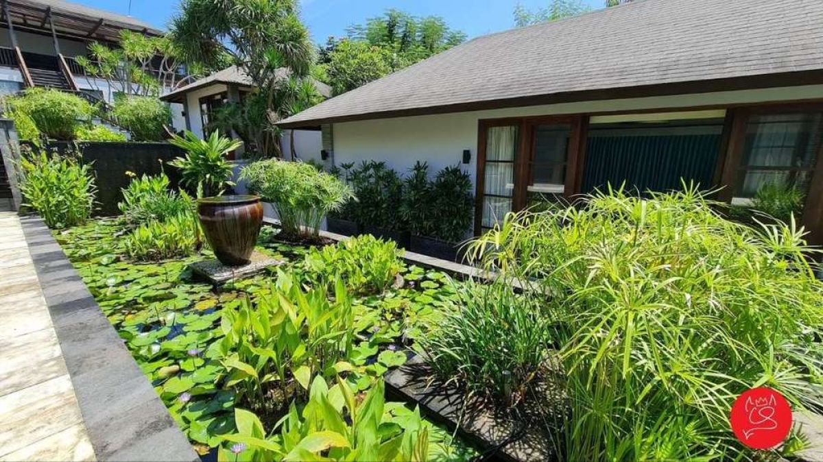 Cliff Top Villa With Lush Garden