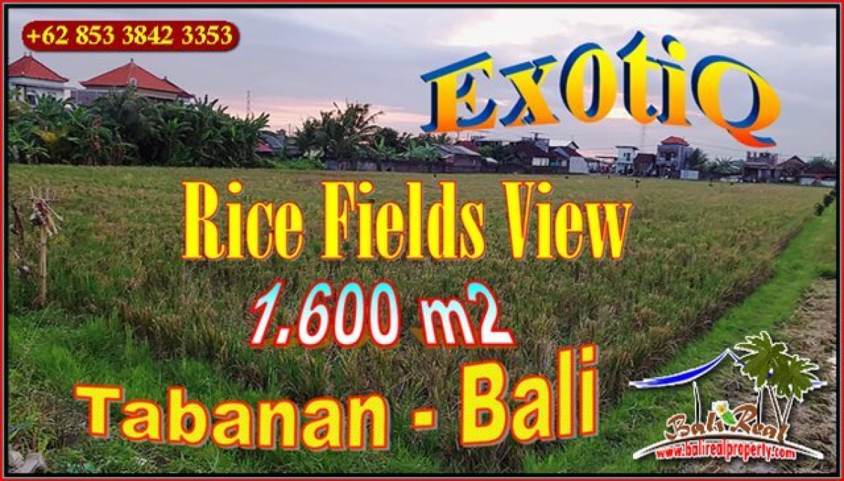 FOR SALE Magnificent LAND 1,600 m2 IN TABANAN