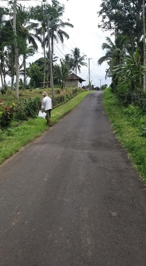 Tanah Kebun Di Pinggir Jalan Pajahan Pupuan Tabanan Bali.