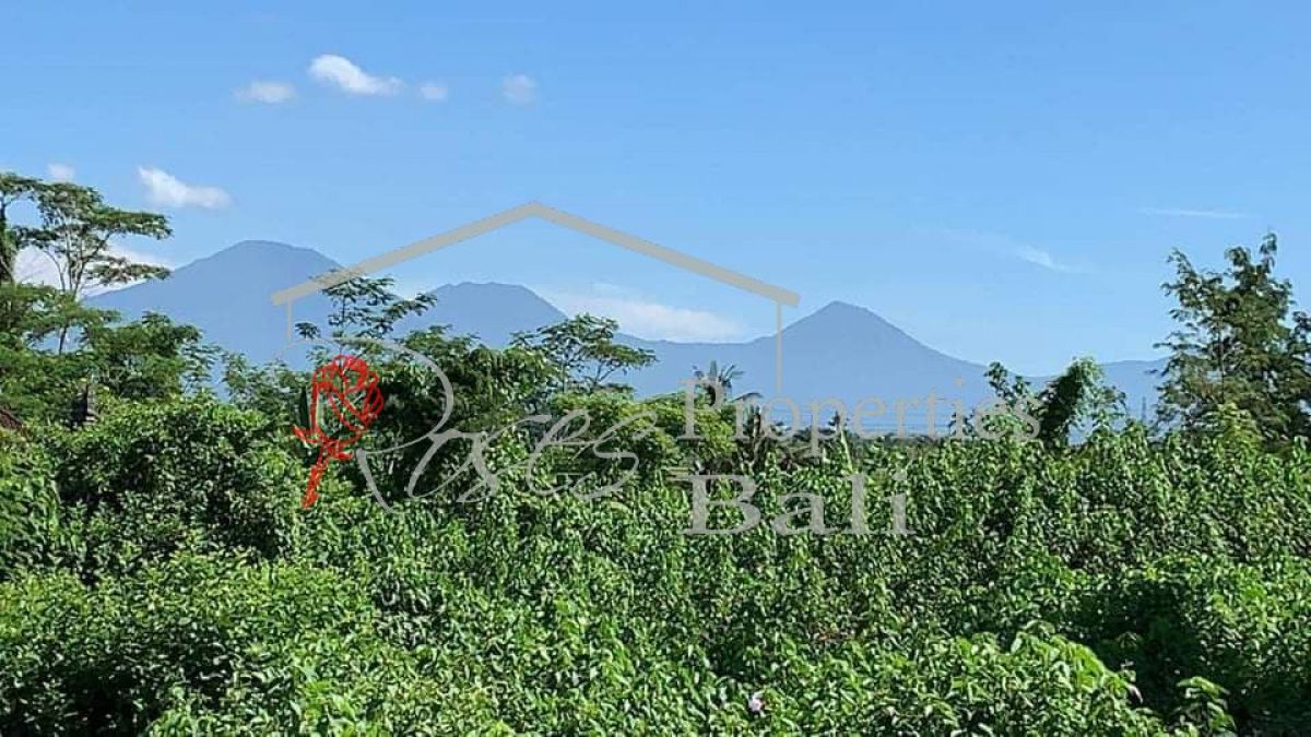 Covid19 Offer - Excellent River Side 2995m2 Land in Tegalallang Taro (Ubud)