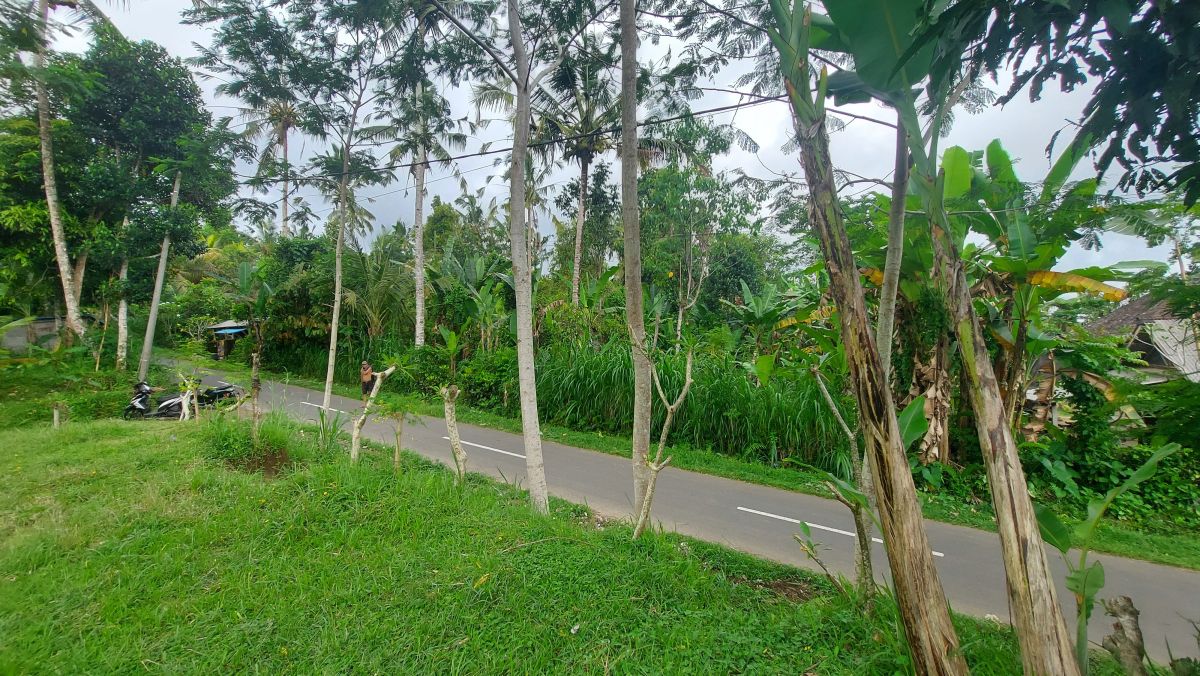 Jual Tanah Bali cocok Villa View Sawah Udara Sejuk Daerah Ubud Tegalal