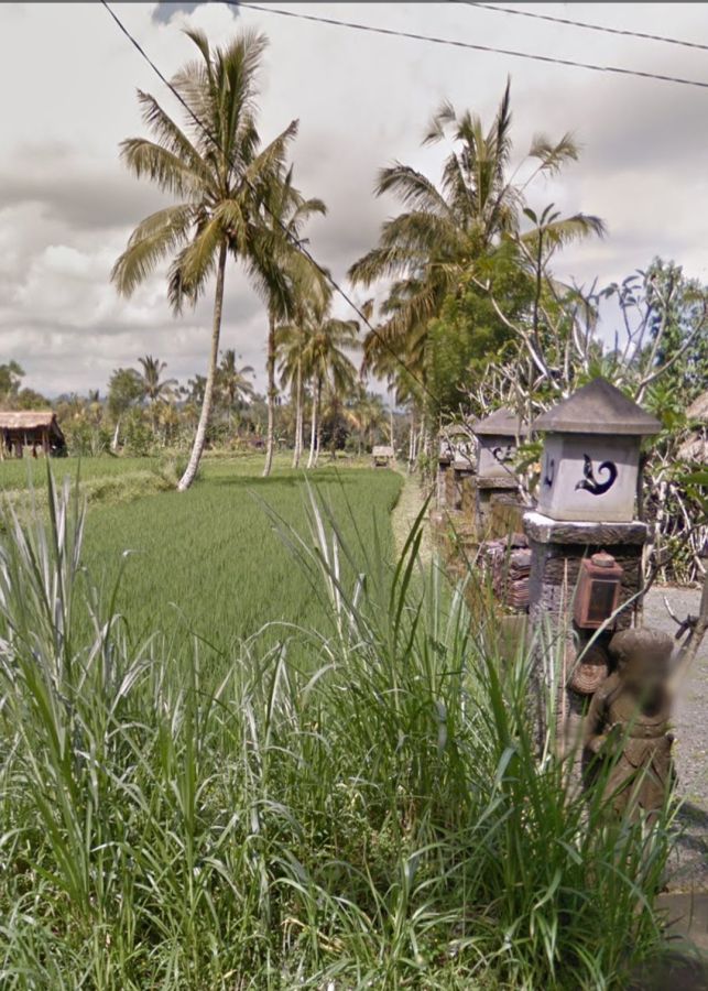 Tanah datar siap bangun di Buahan Kaja Payangan Bali