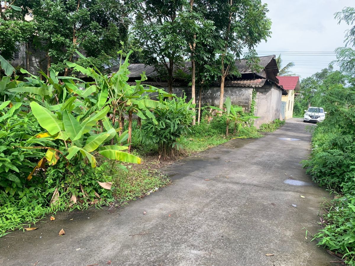 Tanah Dijual Lokasi Barat Jl.Kabupaten dalam ring road