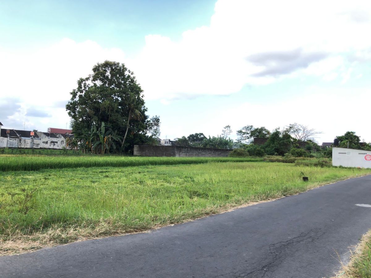 Tanah Murah Purwomartani Jogja Tepi Jalan Aspal