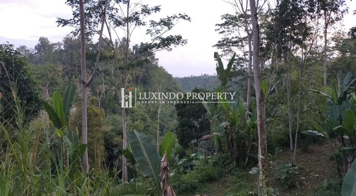 Dijual Tanah Dengan 15, 250m2 Lokasi Di Sebatu, Ubud (FHL172)