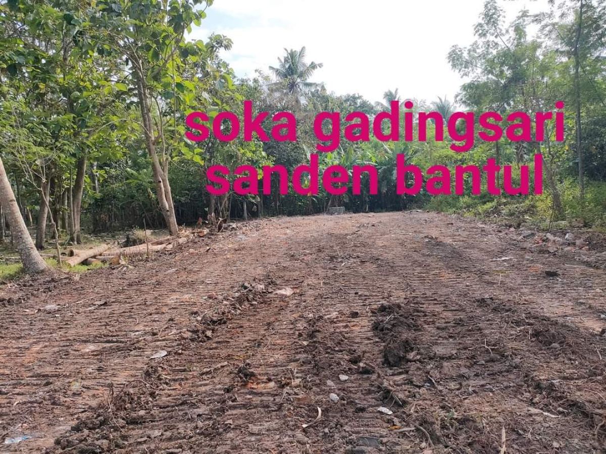 Kode : TP 5176 Tanah Pekarangan Bagus View Sawah Murah di Sanden Bant
