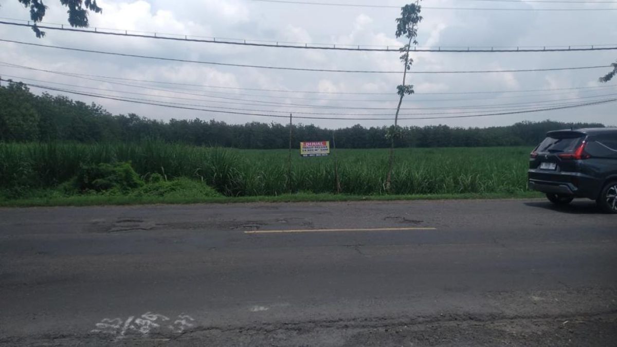 Dijual Tanah Lokasi Dekat Pintu Tol Ngawi Harga Murah Strategis