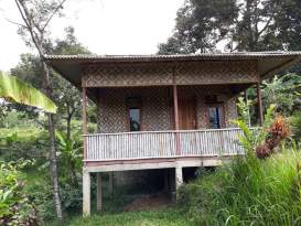 Download Rumah Bambu Di Sawah Pictures
