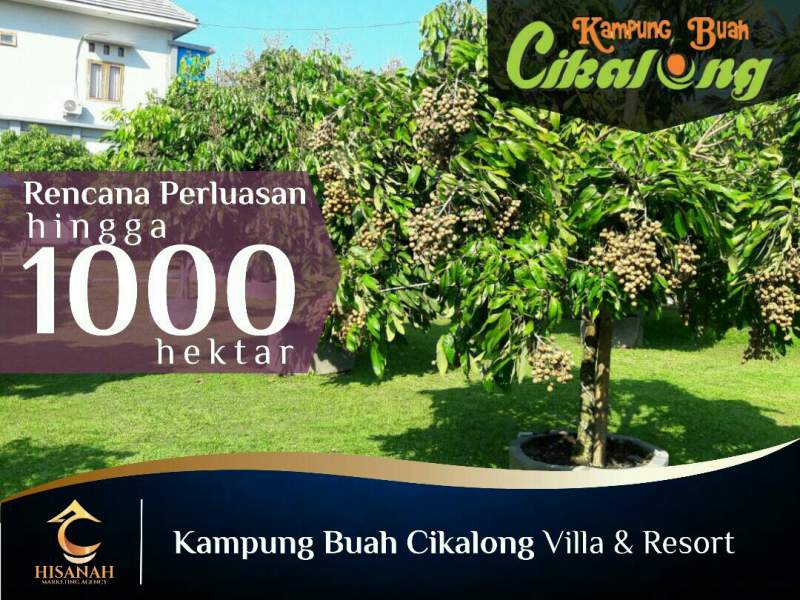 Investasi Kavling Kampung Buah Cikalong Cianjur Jawa Barat