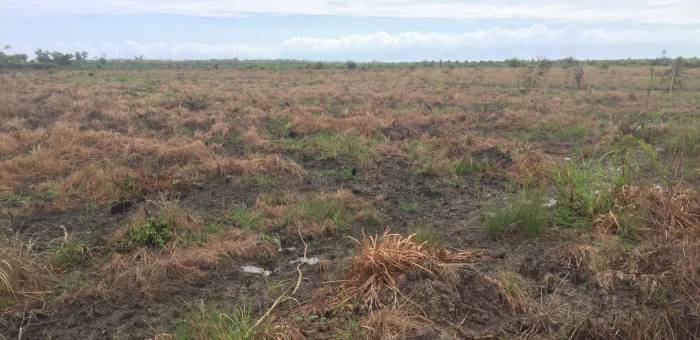 Properti Dijual Di Ujung Tanjung Kota Rokan Hilir Lamudi