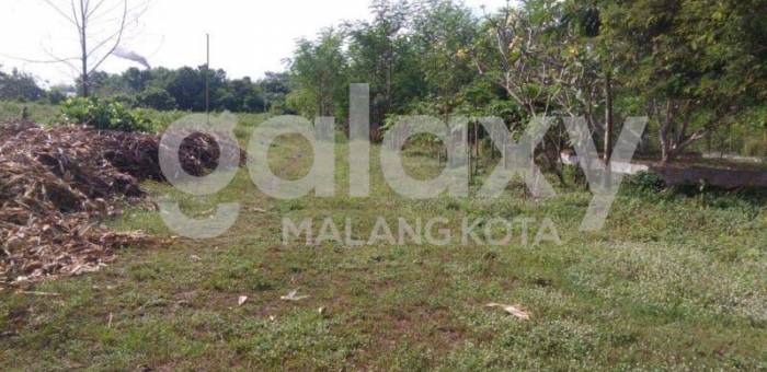 Tanah Dijual Di Randuagung Kota Lumajang Lamudi