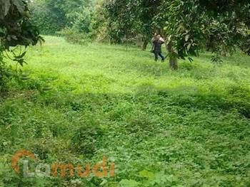 Tanah Murah Dijual di Majalengka
