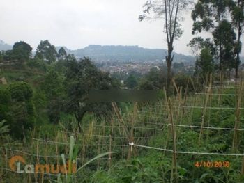 Tanah Kavling Murah Dijual di Lembang