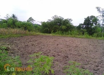 Tanah Dijual Murah di Lampung Selatan