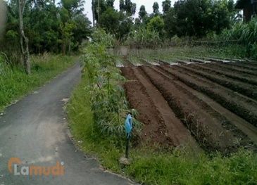 Tanah untuk Investasi di Binjai
